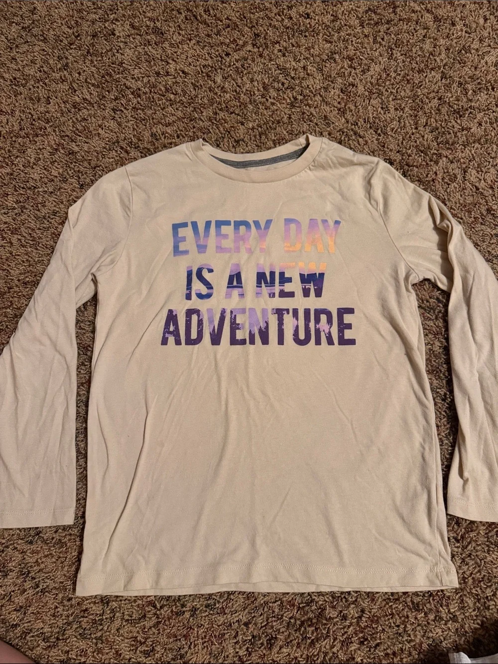 Old Navy Set of Long Sleeve Tees- grey and tan